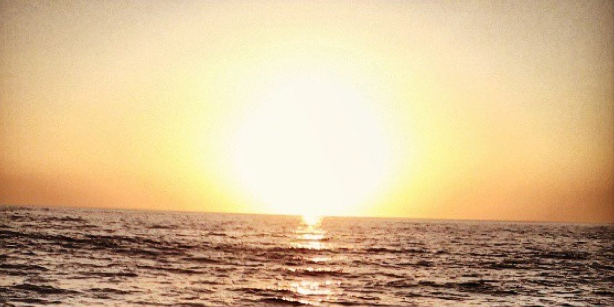 saribigomez's profile banner image