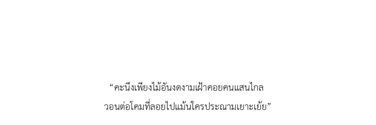蓉 banner