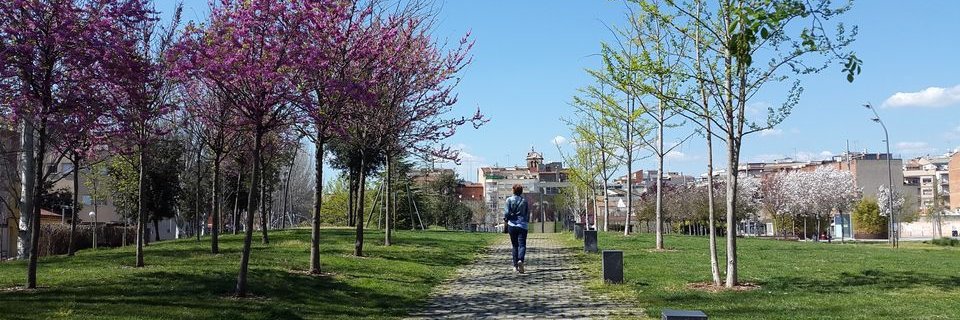 Ajuntament de Mollet del Vallès banner