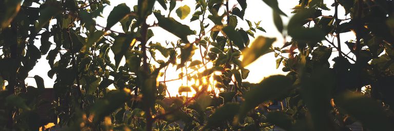 I_KA_48's profile banner image