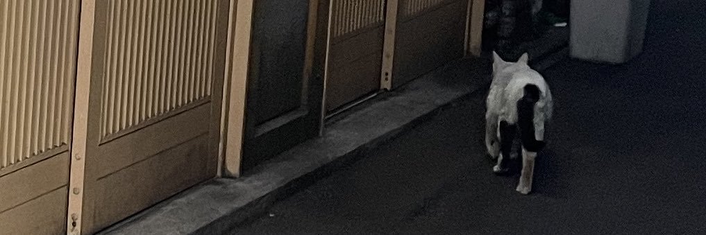ossan1998's profile banner image