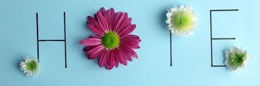 🕊️Peace 🕊️ Dove🕊️ banner