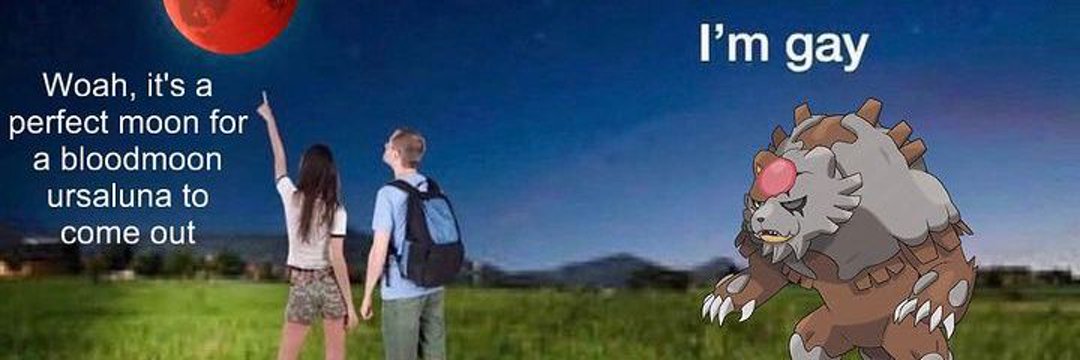 ⟨ fenta | nilo ⟩ 🐸 banner