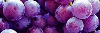 🍇⋆˚꩜｡Maddy⋆˚꩜｡🍇 banner