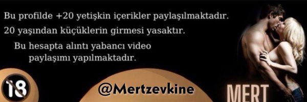 MertZevkine Profile Banner