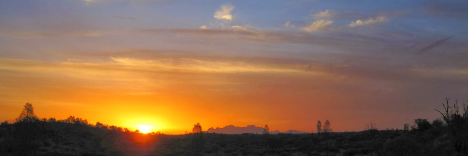 jamie (she/her) 🌻 banner