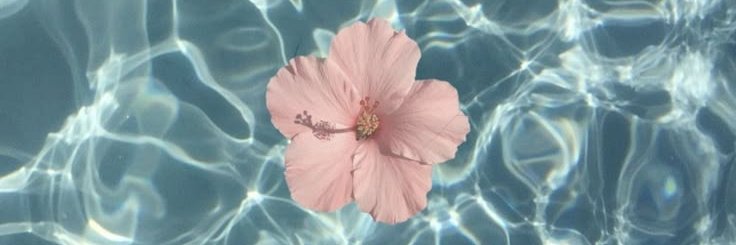 RoseBySarah's profile banner image