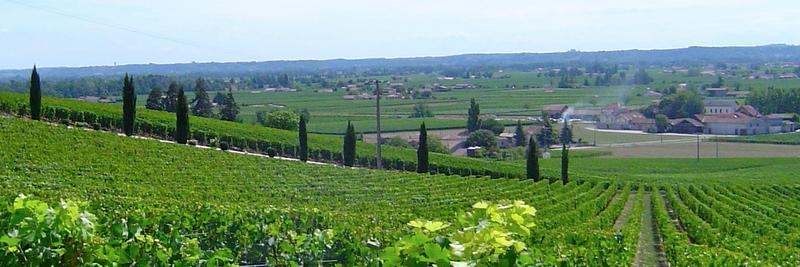 Samer Forzley banner