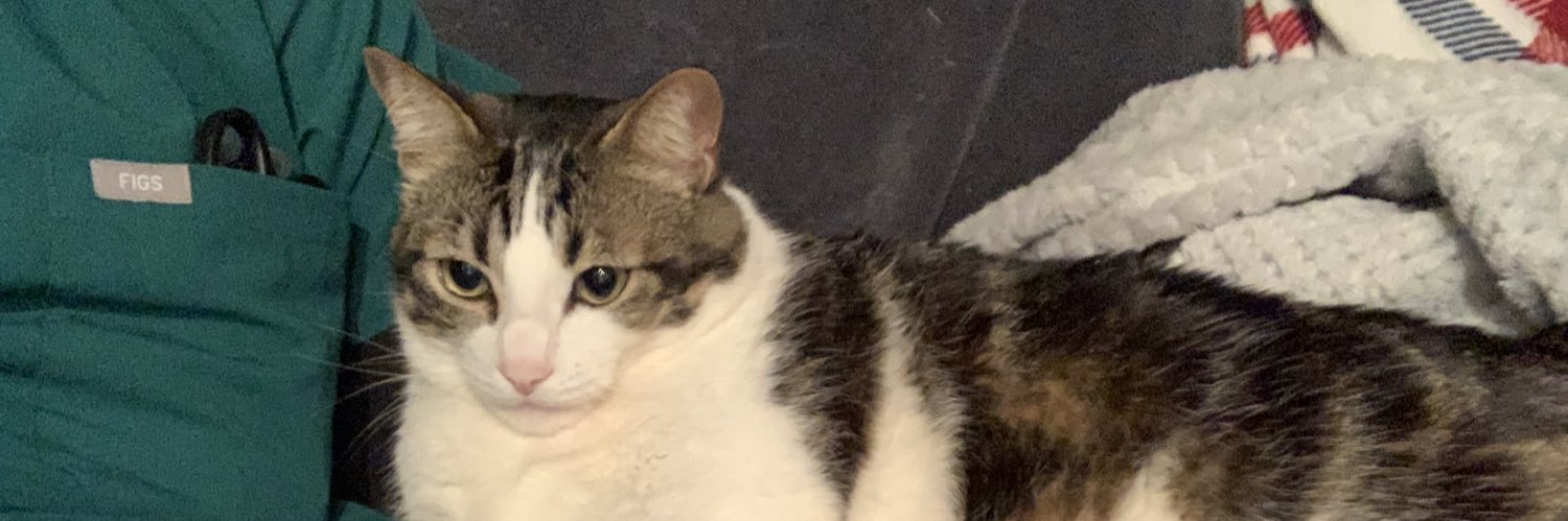 Mitchell Hare banner