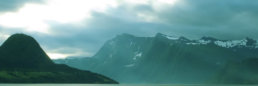 Morgan Mackenzie banner