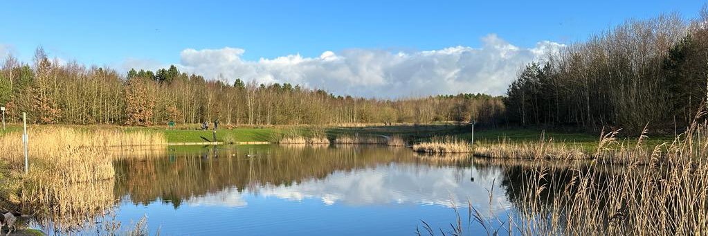 Bold Parish Council banner