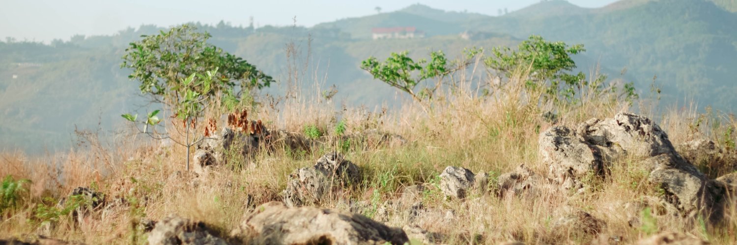 tobeerrrrr's profile banner image