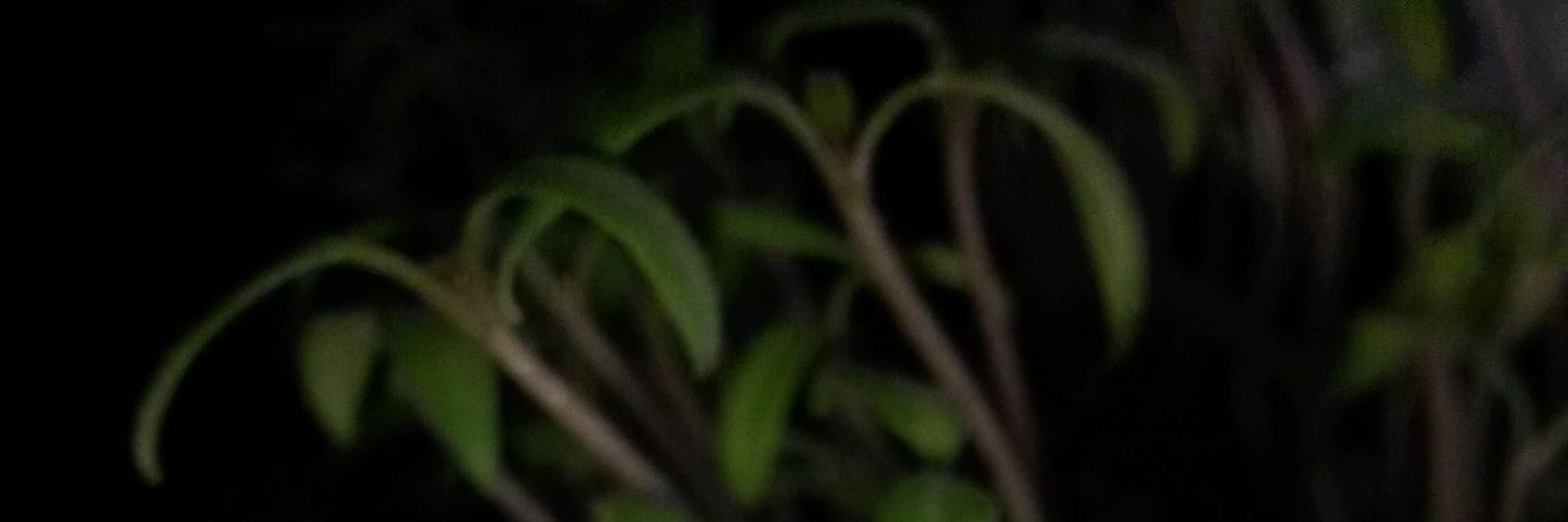 Ekinciysf's profile banner image