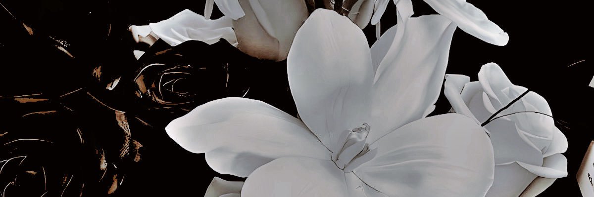 ofDinar's profile banner image