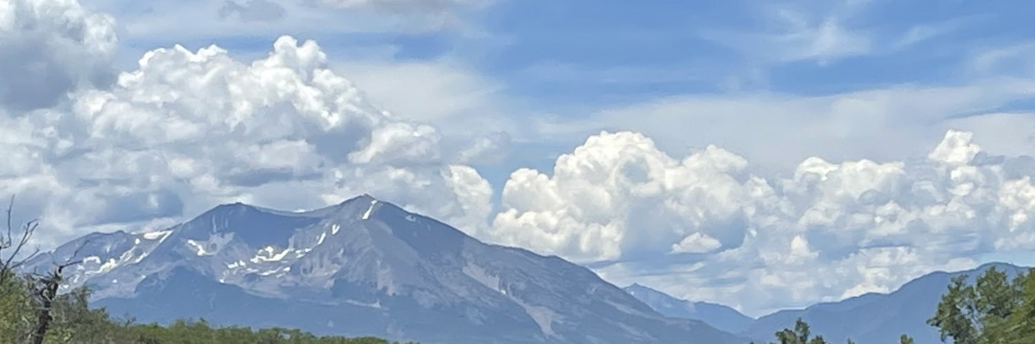 tyler's banner