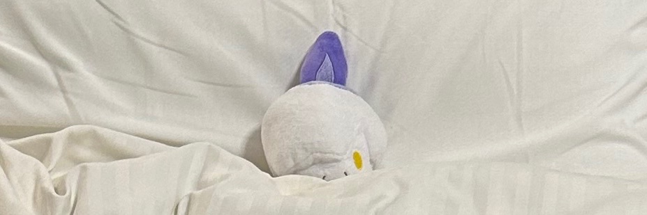 ろくちゃ banner