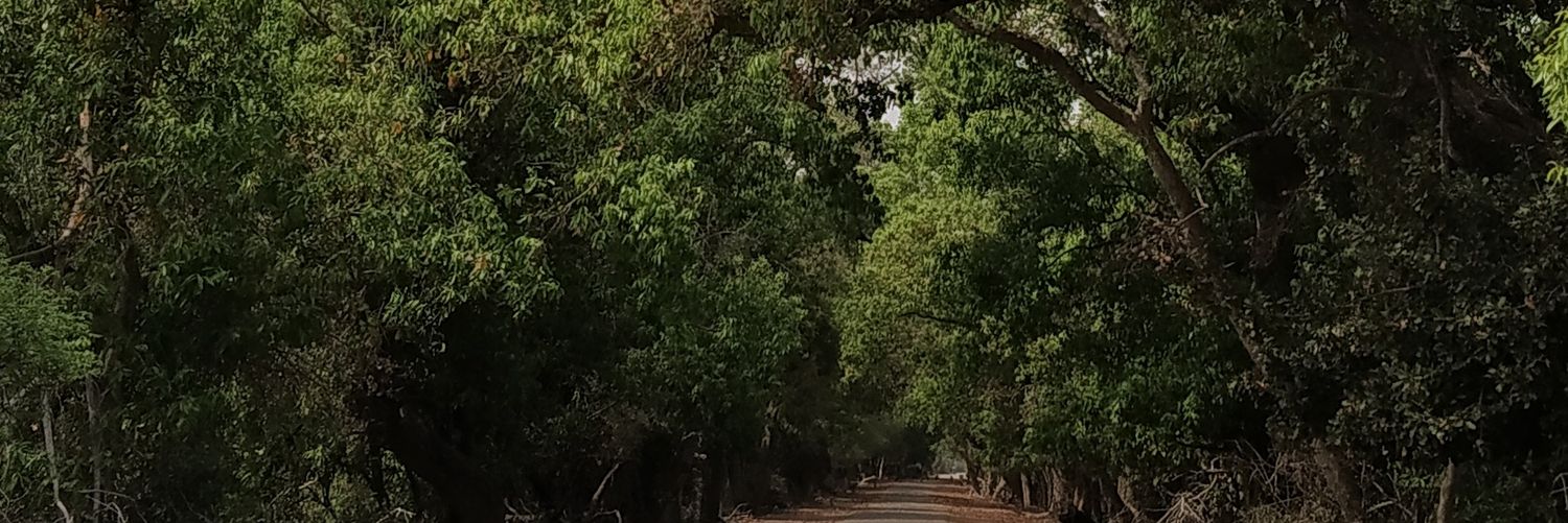 mnswaroop's profile banner image