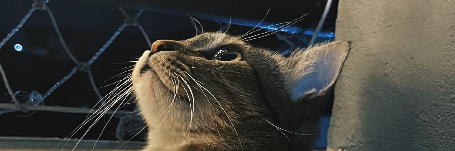 gigoncales's profile banner image