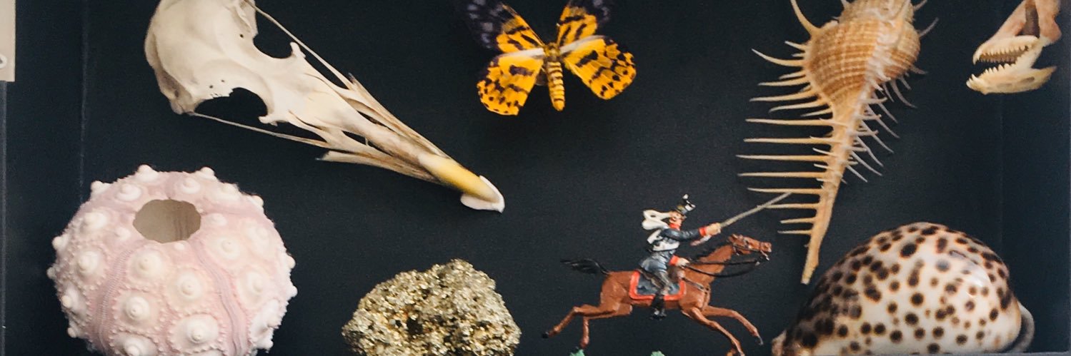 Hesters Rariteitenkabinet banner