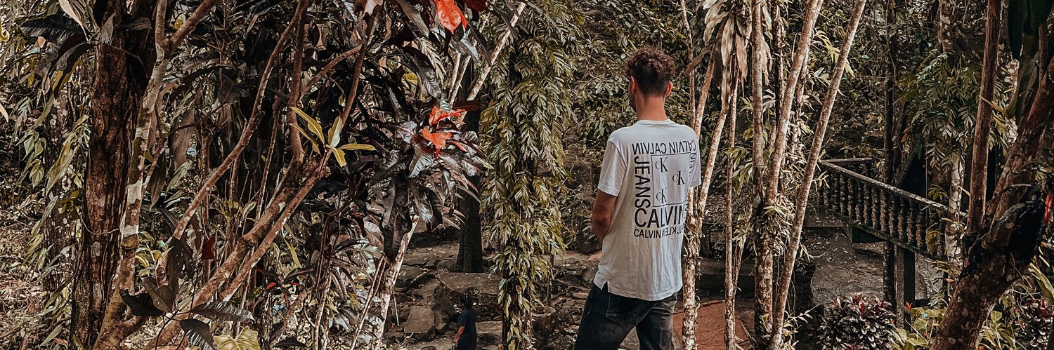 steveroczen's profile banner image