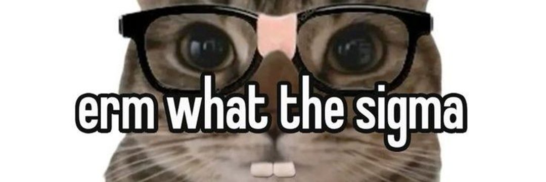 lyn mau jd kirby banner