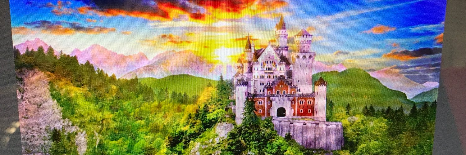 Lora Villarreal banner