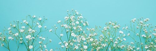 🌷 banner