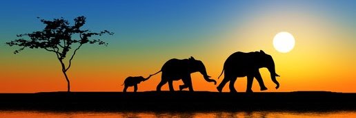 Gringo do Pagode banner