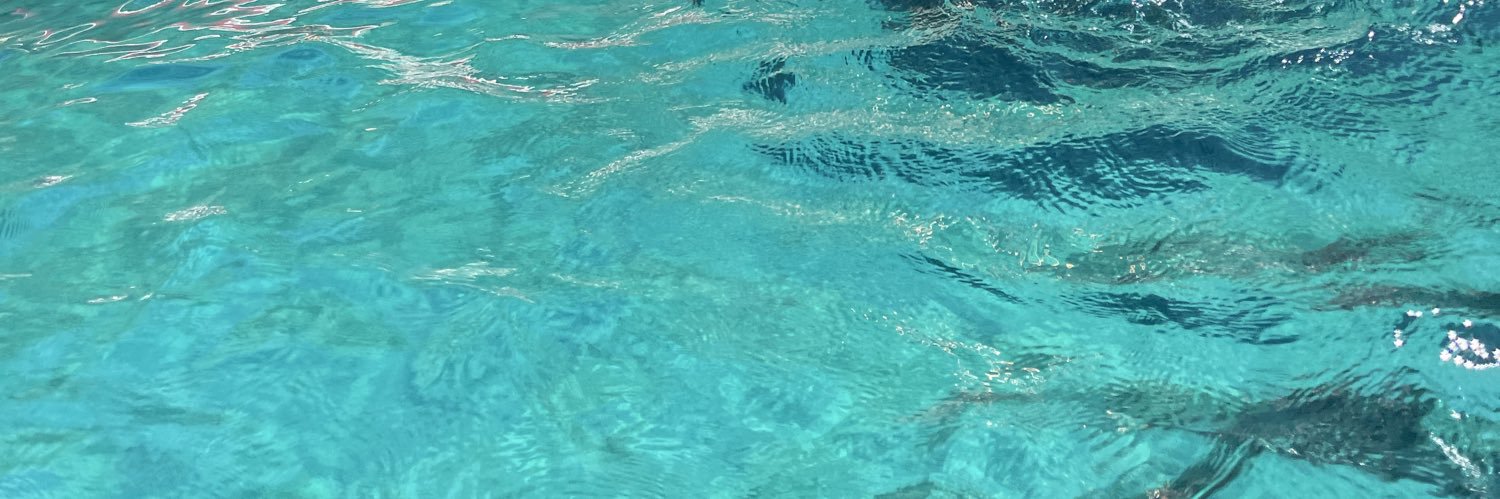 RafaCarrilloM's profile banner image