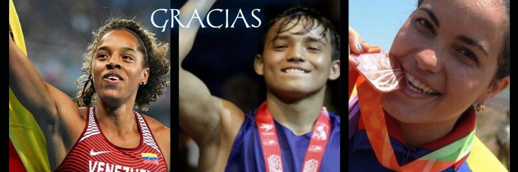 elfantasmacc's profile banner image
