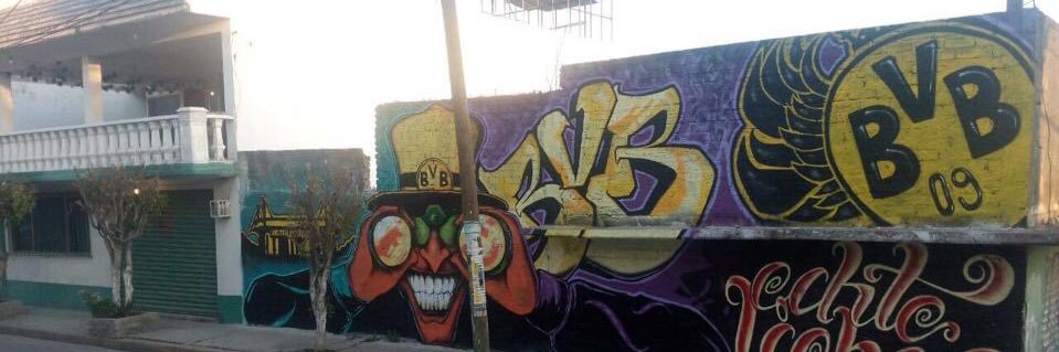 BVBmexico1's profile banner image