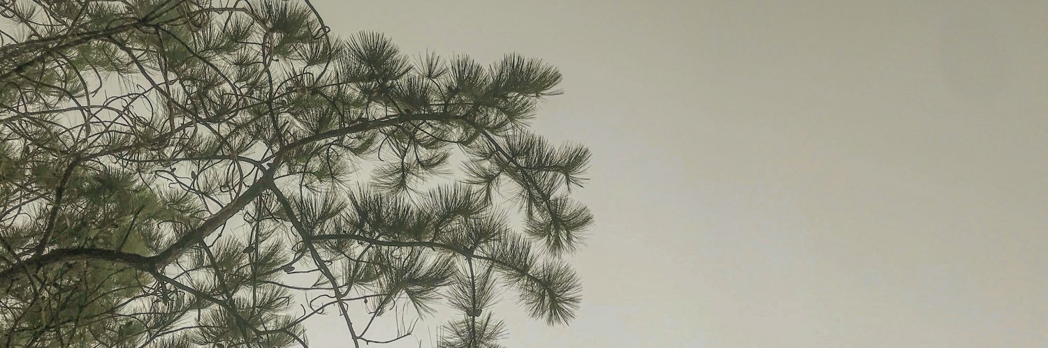 rnzbmrcd's profile banner image