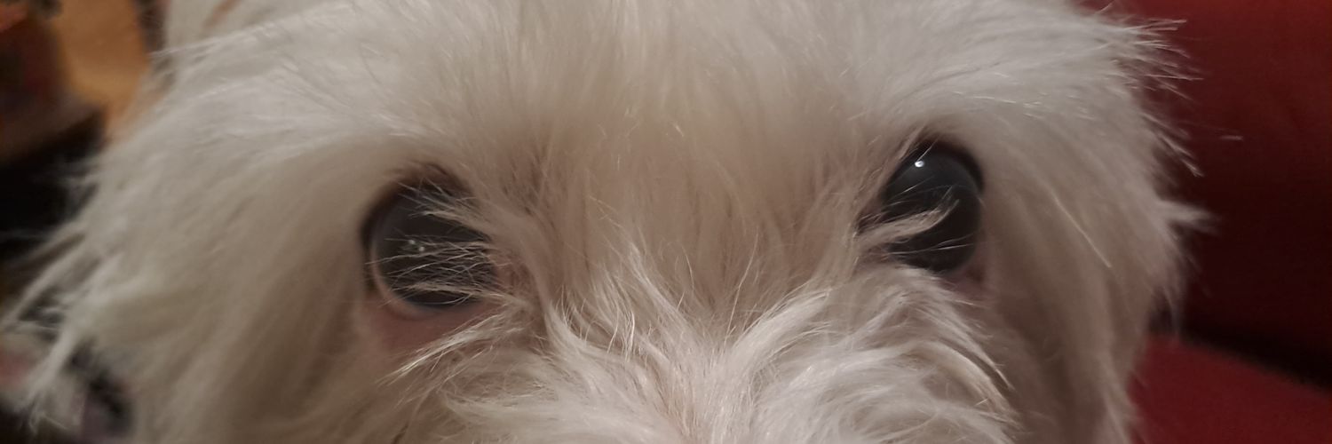 Khan93Lala's profile banner image
