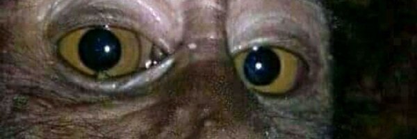 manifol Profile Banner