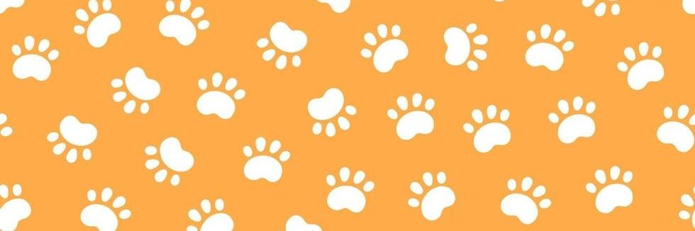 El Perrito Textual banner