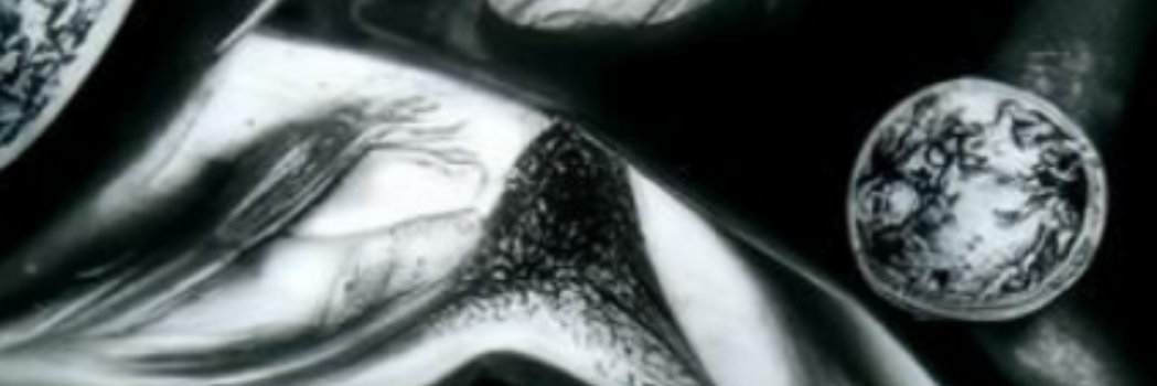 NikiWSoot's profile banner image