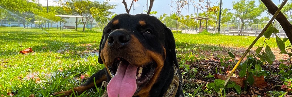 GerardoLituma's profile banner image
