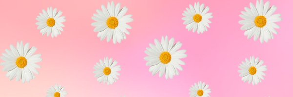 marionet1e Profile Banner