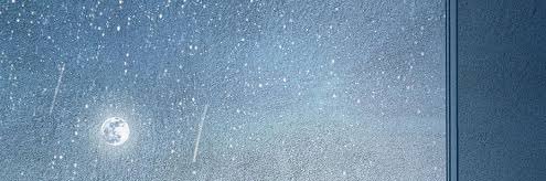 y65048532's profile banner image