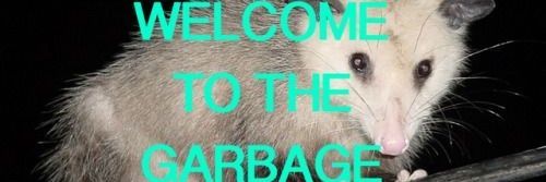 chruncyjunk's profile banner image