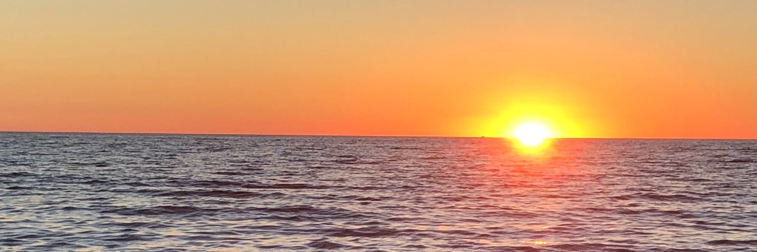 petmon63's profile banner image