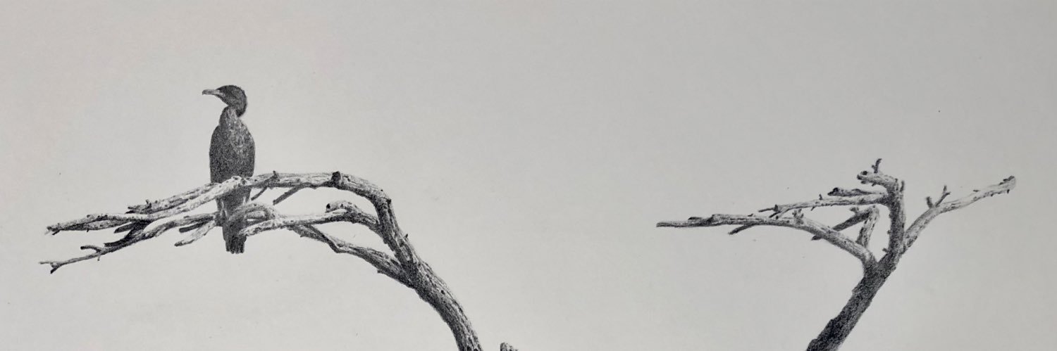 DWHauthor's profile banner image
