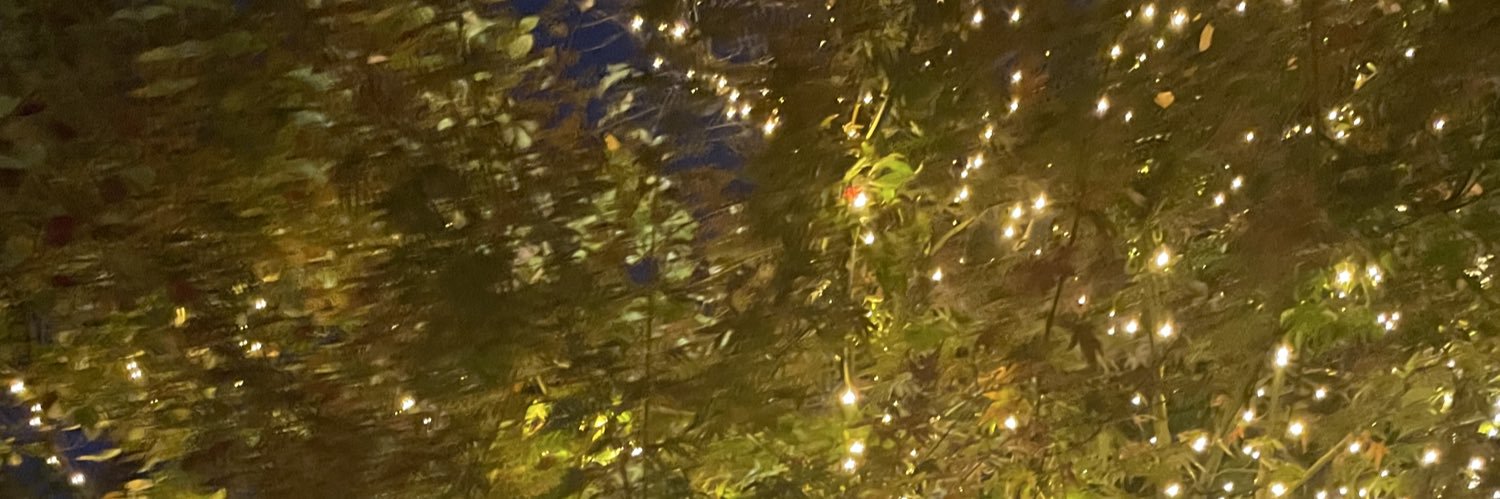 PabloTyler_'s profile banner image