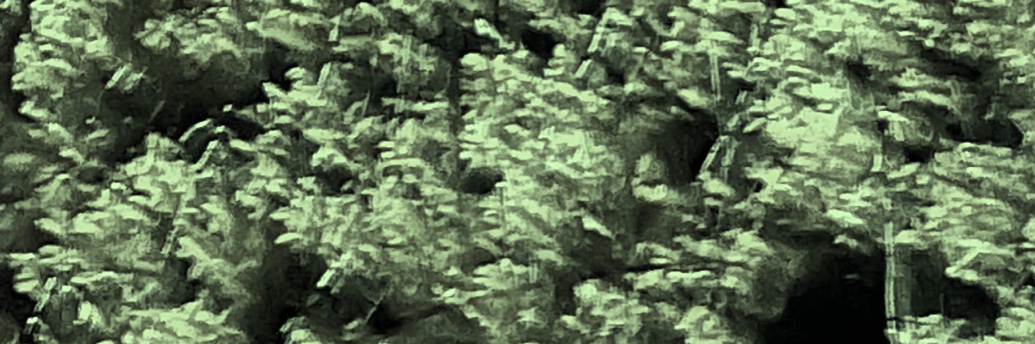 ✽✽✽ banner