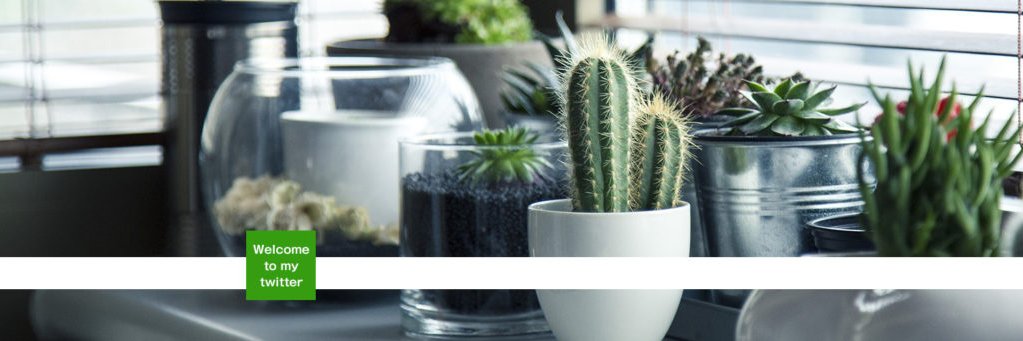 bluebb5's profile banner image