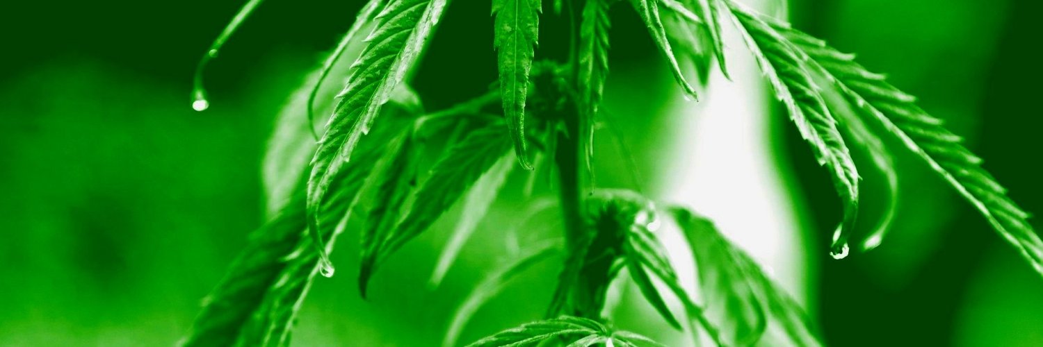 Hemp Federation Ireland banner