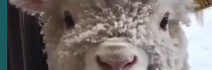 nurayonalan's profile banner image