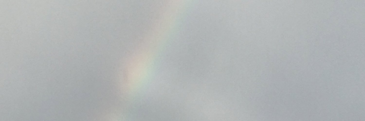 FleabagFoxy's profile banner image