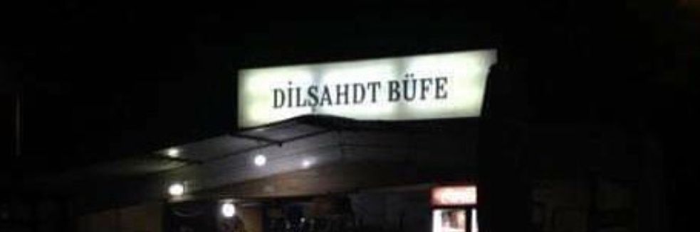 dilsaady's profile banner image