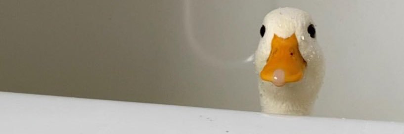 Paradoxymoron ✨ banner